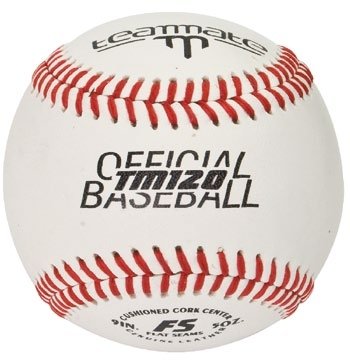 Louisville Slugger Inertia WBSC/ASA - Eastpro Sporting Goods - Online  Baseball & Softball Shop