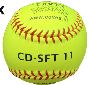 CD Safety 11